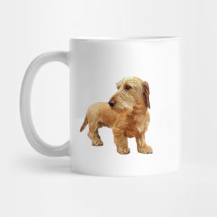 Dachshund Wire Haired Red Beauty! Mug